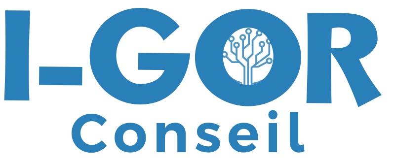 I-GOR Conseil